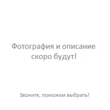 Пылесос TEFAL TW3171EA
